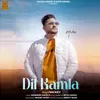 About Dil Kamla Song